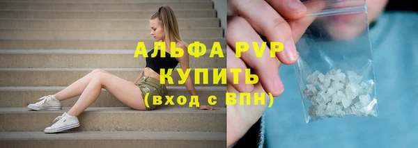 PSILOCYBIN Белоозёрский