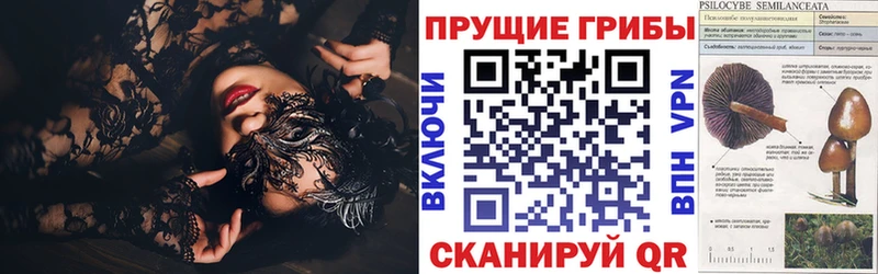 Купить  Окуловка  Галлюциногенные грибы GOLDEN TEACHER 